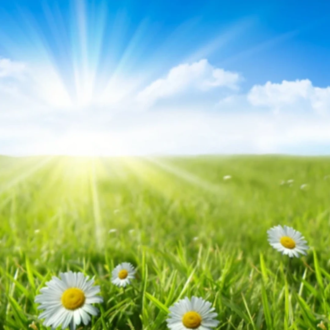 Bild - Garden Flora - Shopify